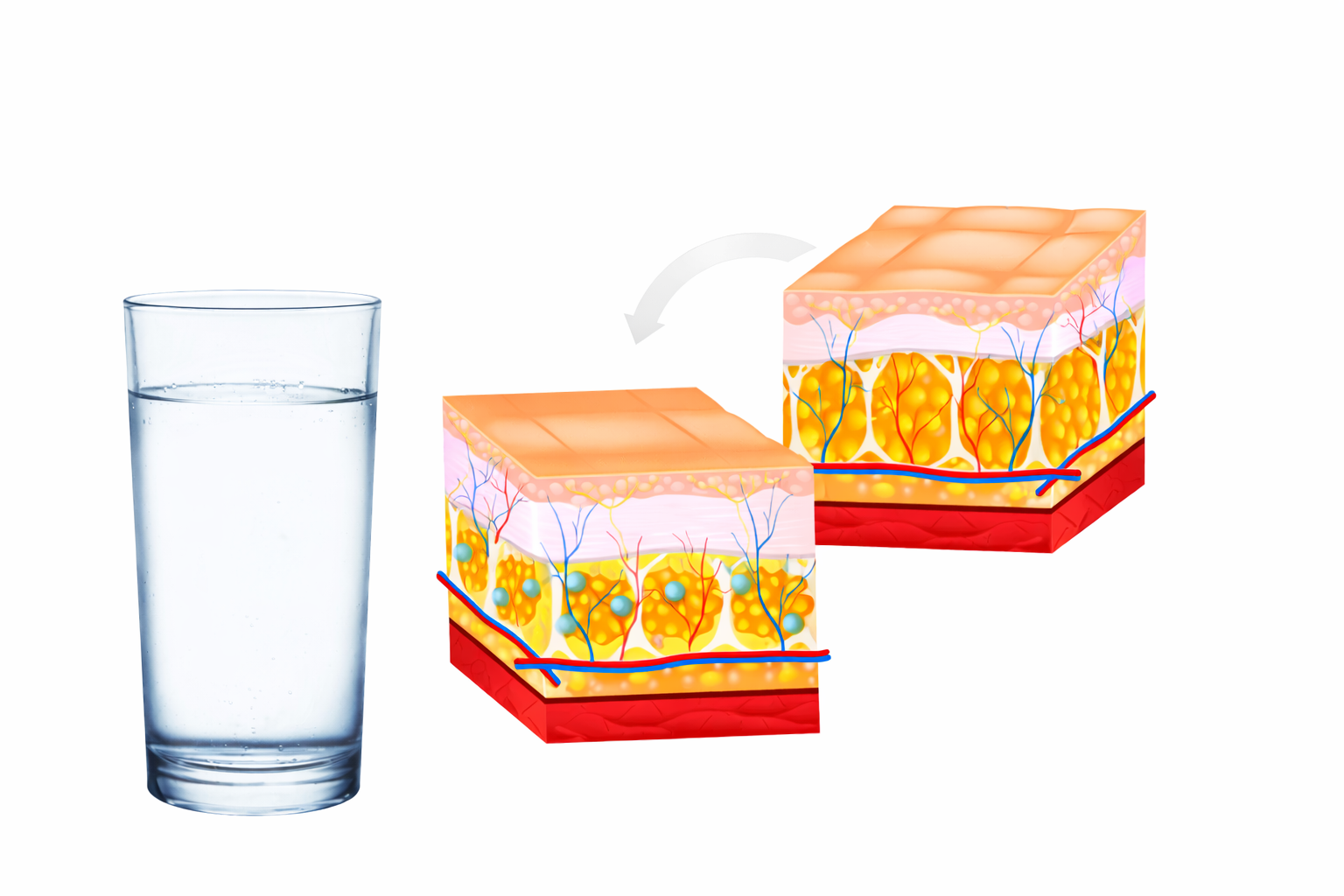 Cum funcționează Balancio